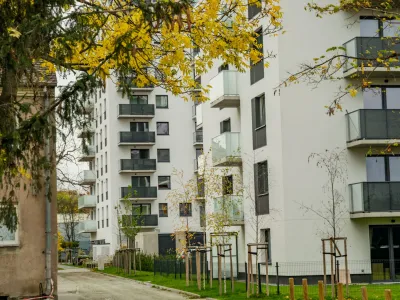 Будівництво зростає всупереч війні. Чому український ринок нерухомості входить у нову фазу розвитку