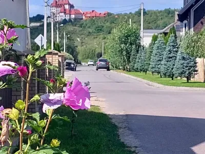 Таунхаус зданий, готовий до ремонту, всі міські комунікації, фото 4