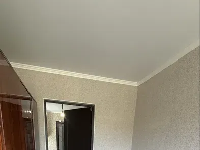 Будинок біля Грибовки, фото 3