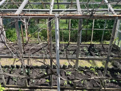 Продаж дачного дому. Осокорки. 5 км до метро Славутич, фото 5