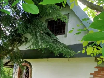 Солонка, ділянка 5 сот. з будинком, фото 3