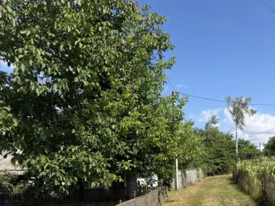 Продам будинок із земельною ділянкою, фото 3