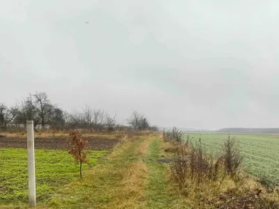 Ділянка в Порозове 11 сот під будівництво, фото 2