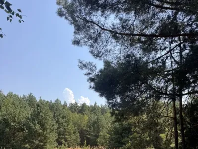 Земельна ділянка під будівництво 15 сот, фото 2