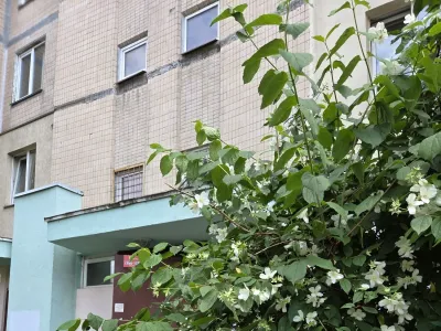 2К квартира 1 поверх, оптика інтернет, біля метро, фото 22