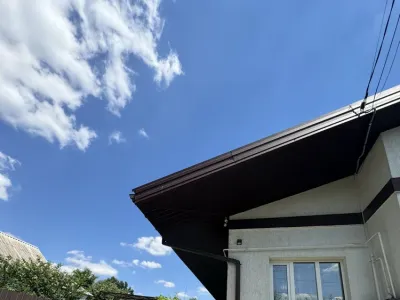 Будинок з ремонтом та меблями. Біла Церква, фото 12