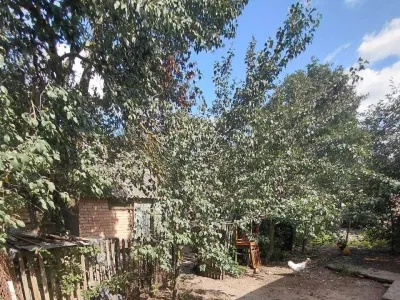 Продаж будинку, фото 20