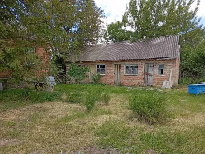 Продаж будинку Браїлів, фото 5