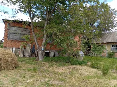 Продаж будинку Браїлів, фото 6