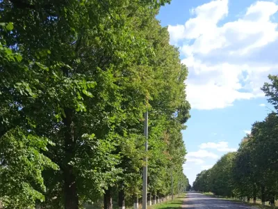 Продається фасадна ділянка Дмитрівка.