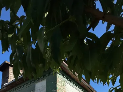 Продаж будинку в м. Христинівка, фото 6