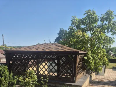 Дім біля соснового лісу с. Левківка, фото 14