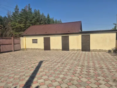 Дім біля соснового лісу с. Левківка, фото 18