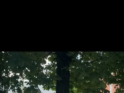 Оренда комерційного приміщення Шостка, фото 4