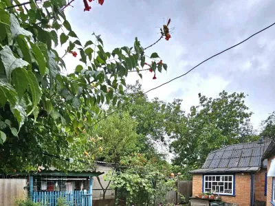 Продаж окремого будинку, 14 соток, фото 22