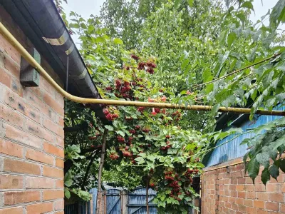 Продаж окремого будинку, 14 соток, фото 23