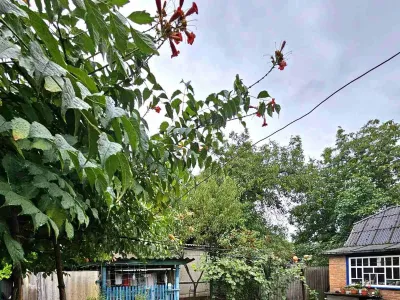 Продаж окремого будинку, 14 соток, фото 24