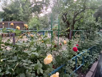 Оренда Центр 1К, фото 19