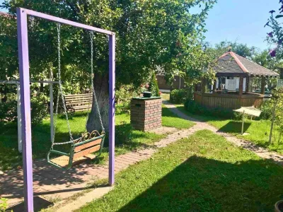 2 будинки на 3 га. Міні Ферма біля Малину, фото 4