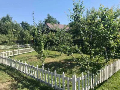 2 будинки на 3 га. Міні Ферма біля Малину, фото 6