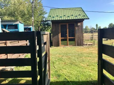 2 будинки на 3 га. Міні Ферма біля Малину, фото 7