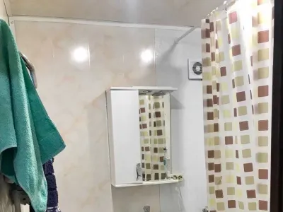 2 будинки на 3 га. Міні Ферма біля Малину, фото 15