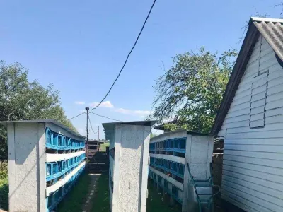 2 будинки на 3 га. Міні Ферма біля Малину, фото 16