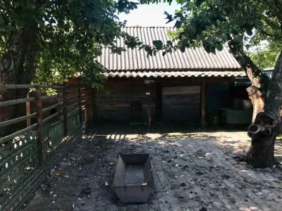 2 будинки на 3 га. Міні Ферма біля Малину, фото 17