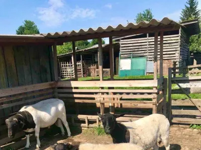 2 будинки на 3 га. Міні Ферма біля Малину, фото 18