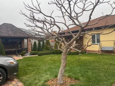 Одноповерховий будинок у новобудові 114 м², Старі Кодаки, Сажівка, фото 2