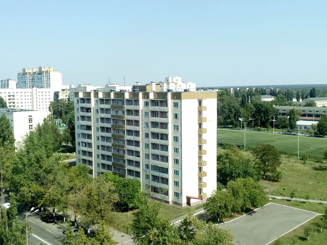 Лісовий масив