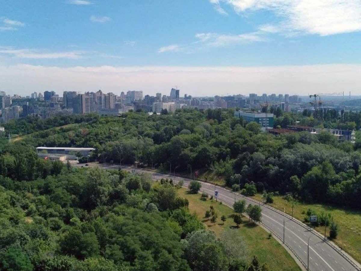 Протасів Яр