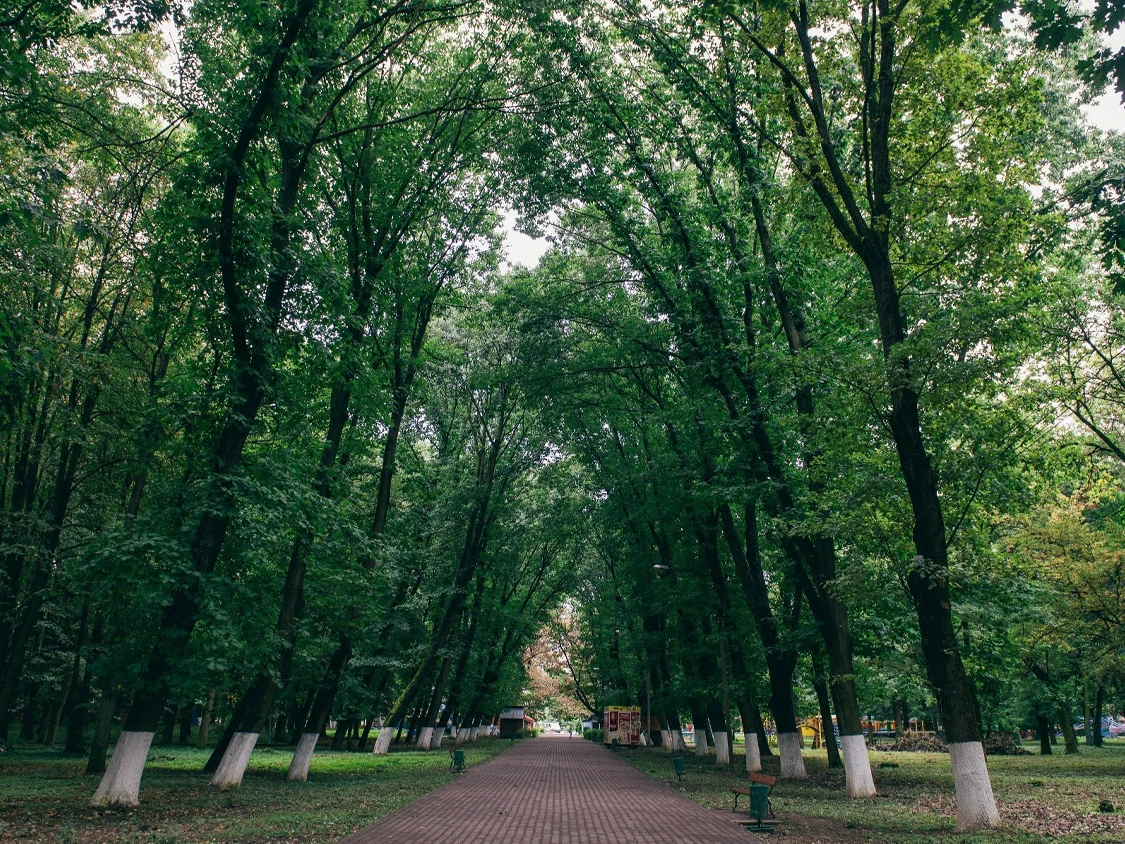 Боздош