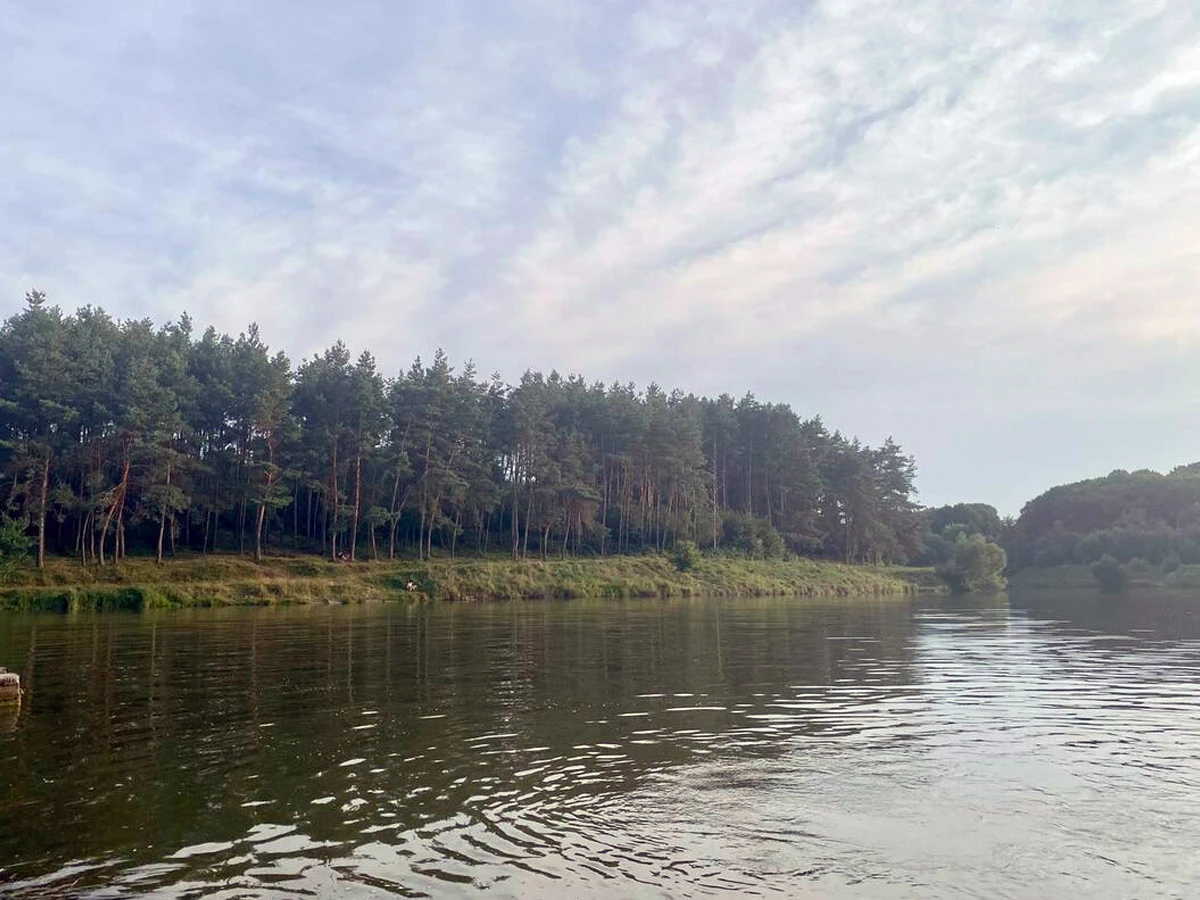 Вінницькі Хутори