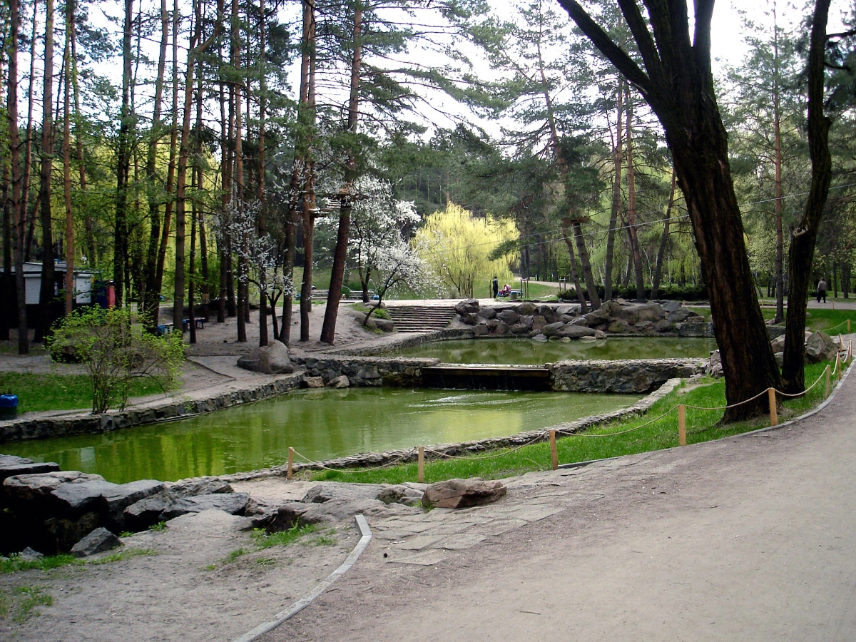 Соснівка