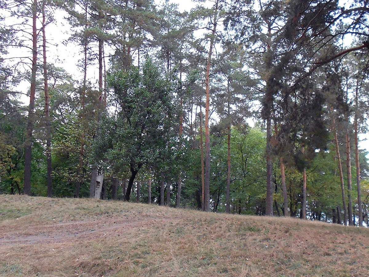 Соснівський район
