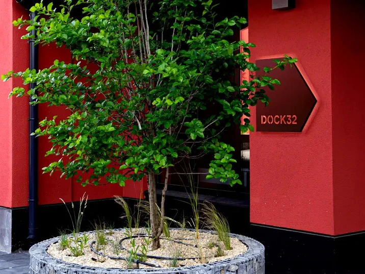 DOCK32, фото 12