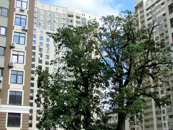 Зелений острів-2, фото 12