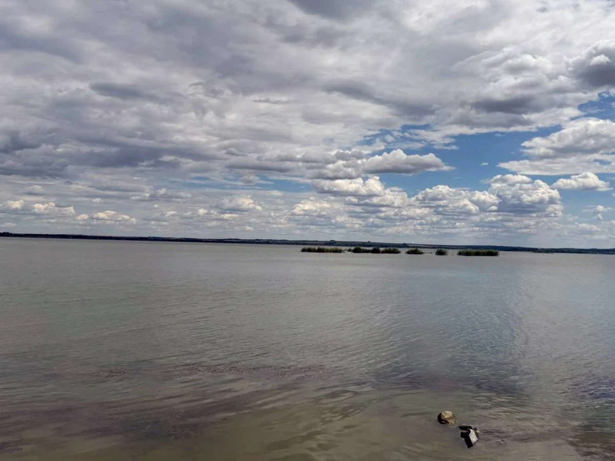 Підгороднє