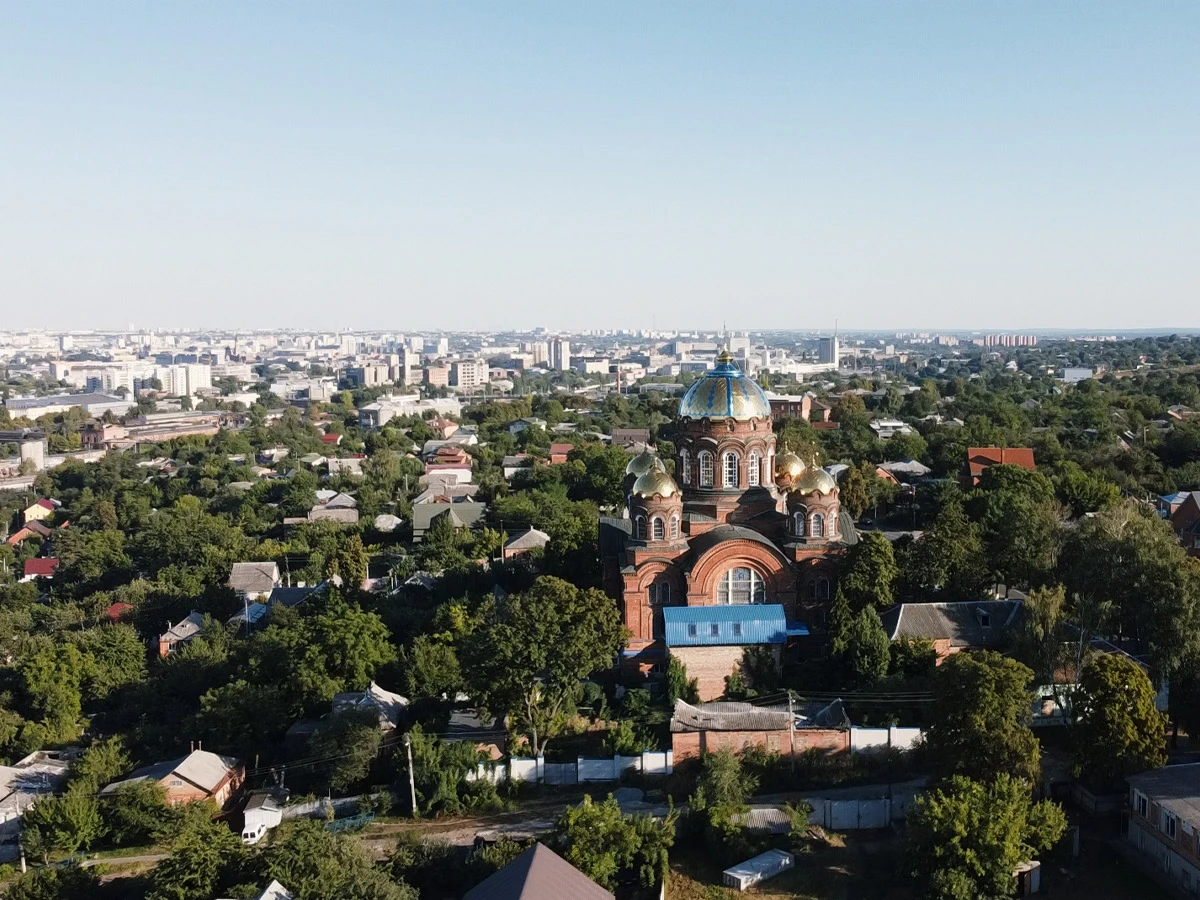 Лиса Гора