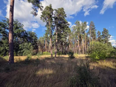 Передмістя Черкас